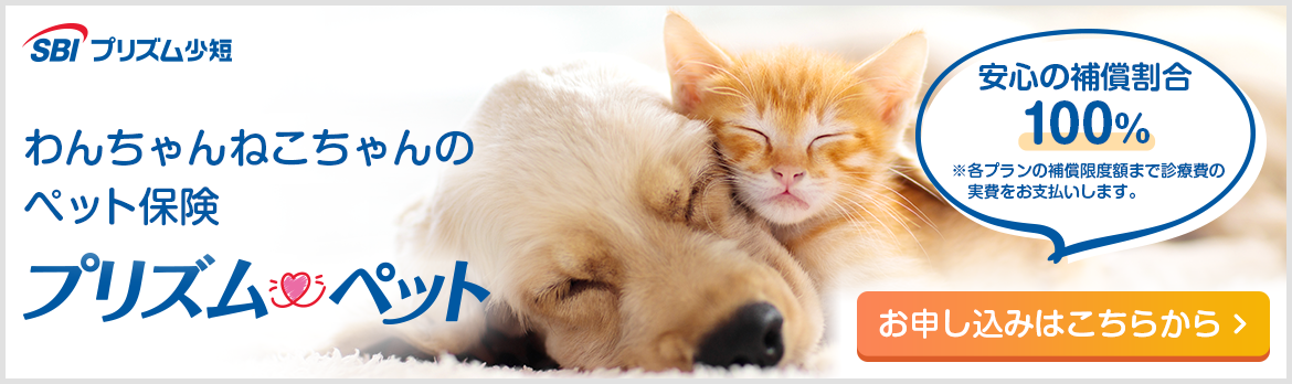 わんちゃんねこちゃんのペット保険『プリズムペット』安心の補償割合 100%